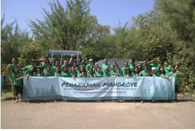 Penanaman Mangrove