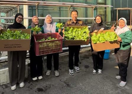 Panen Hydroponic Farming ke-2 di tahun 2026